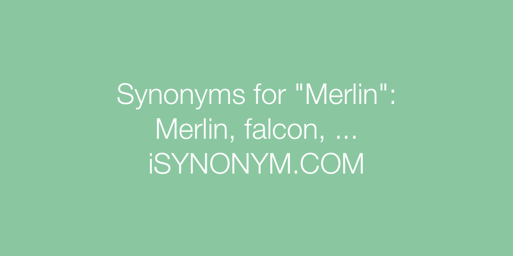 Synonyms Merlin