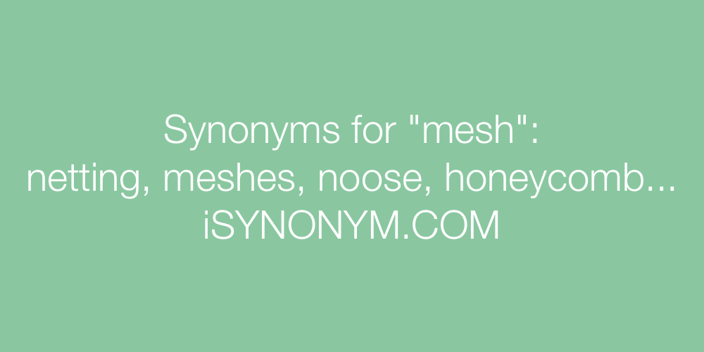 Synonyms mesh