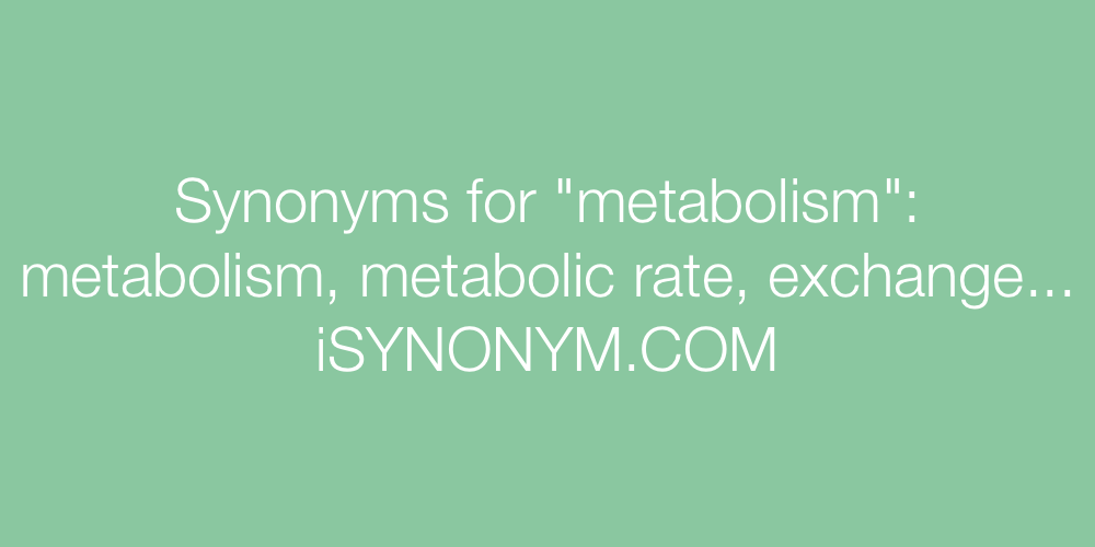 Synonyms metabolism