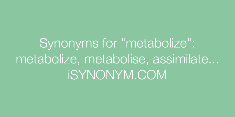 Synonyms metabolize