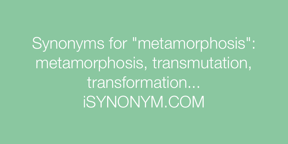 Synonyms metamorphosis