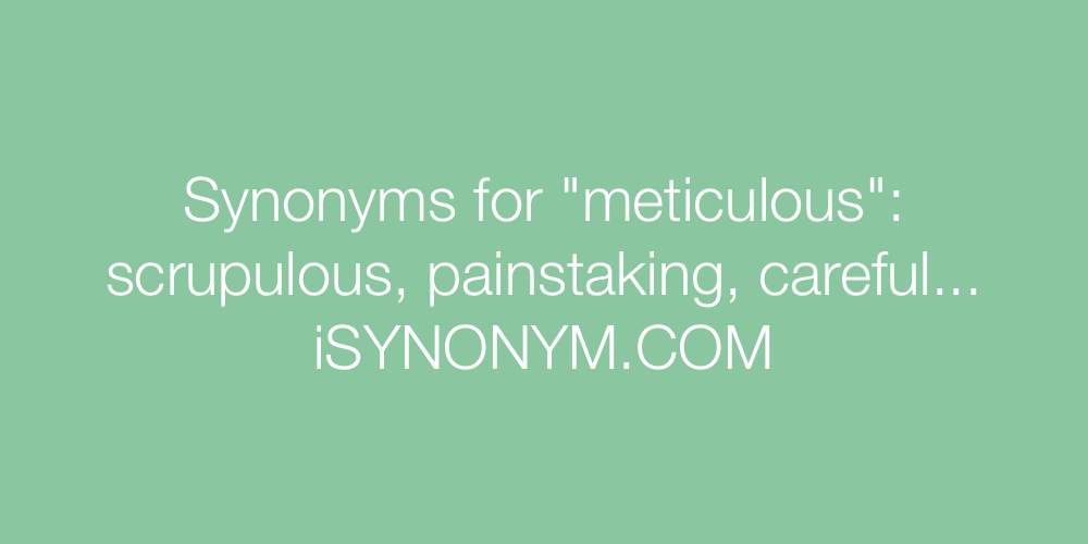 Synonyms meticulous