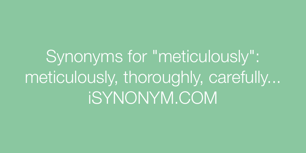 Synonyms meticulously