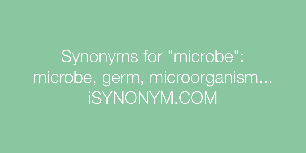 Synonyms microbe