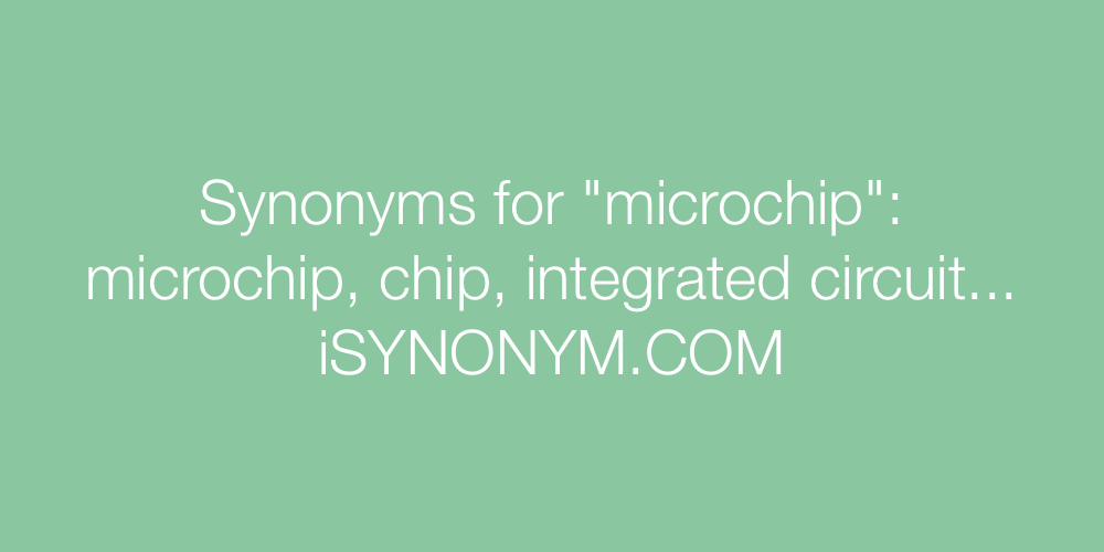 Synonyms microchip