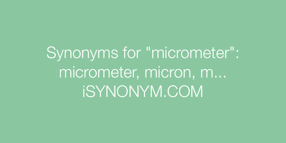 Synonyms micrometer