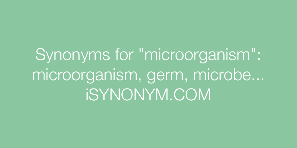 Synonyms microorganism