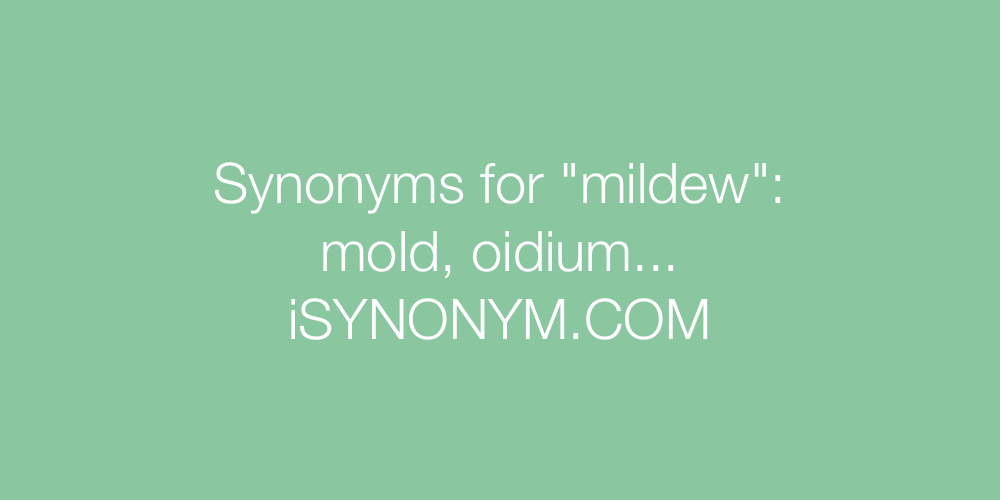Synonyms mildew