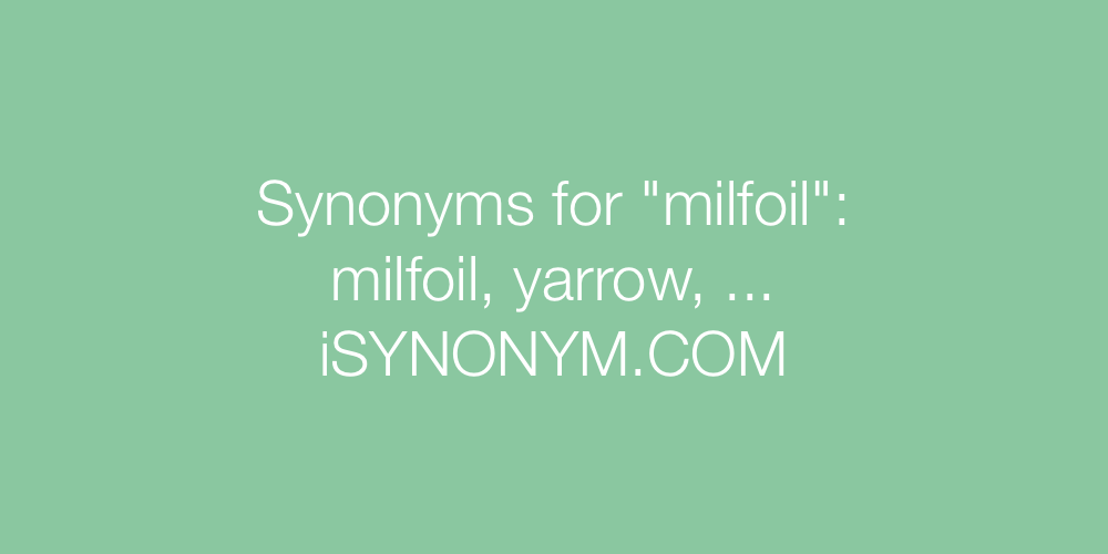 Synonyms milfoil