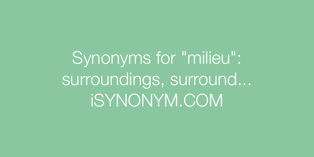 Synonyms milieu