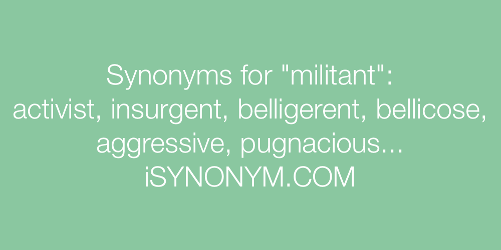 Synonyms militant