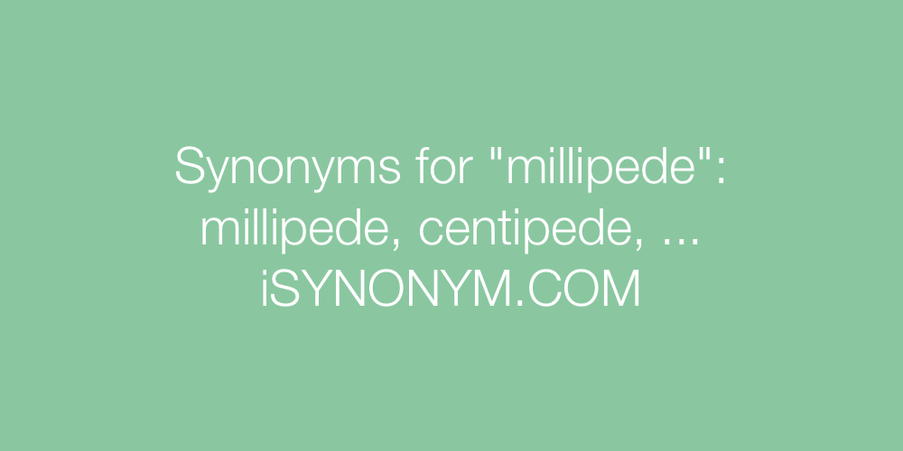 Synonyms millipede