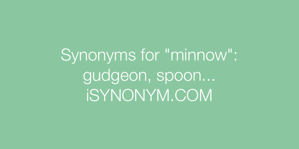 Synonyms minnow