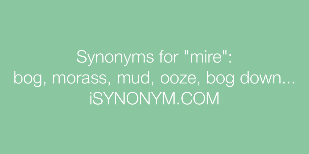 Synonyms mire