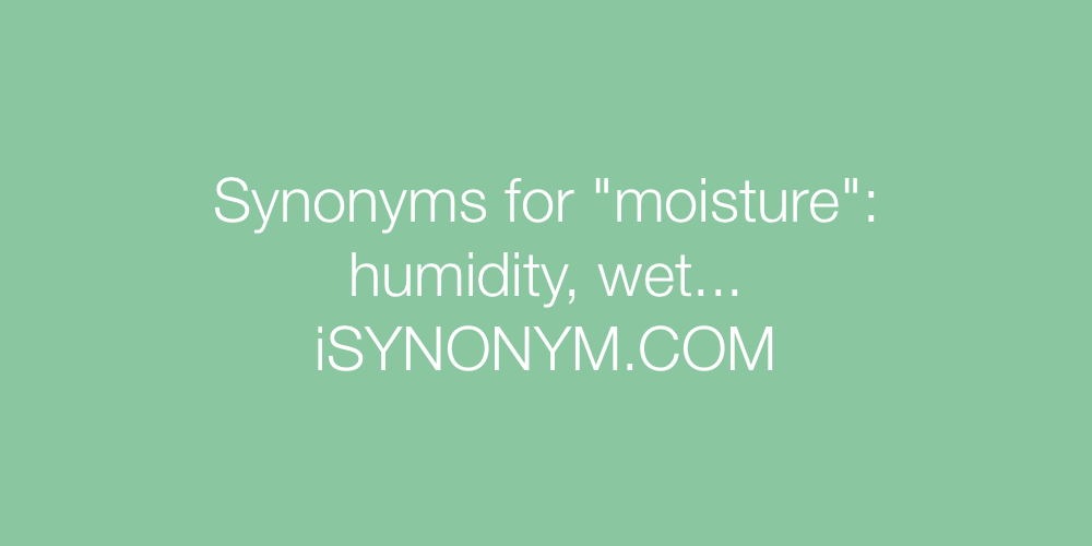 Synonyms moisture