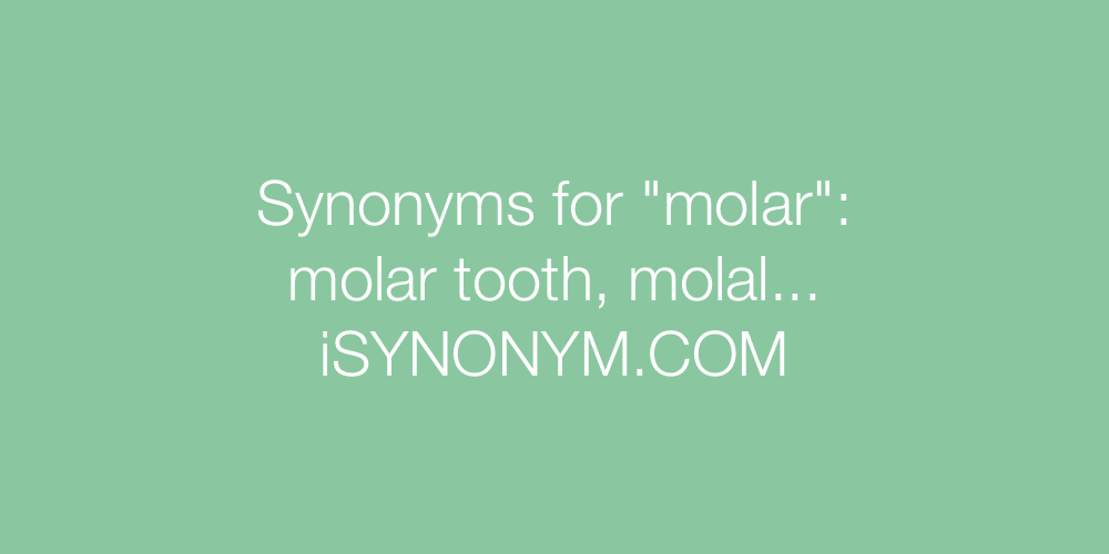 Synonyms molar