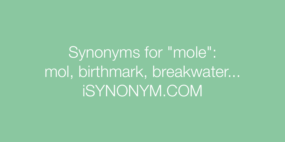 Synonyms mole