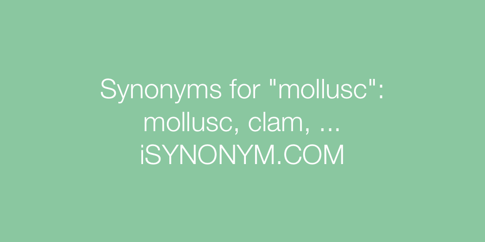 Synonyms mollusc
