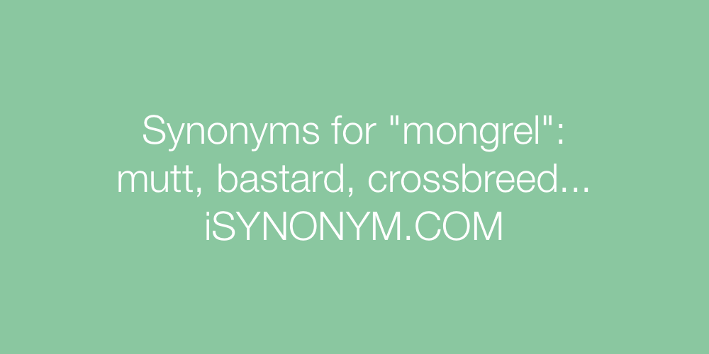 Synonyms mongrel