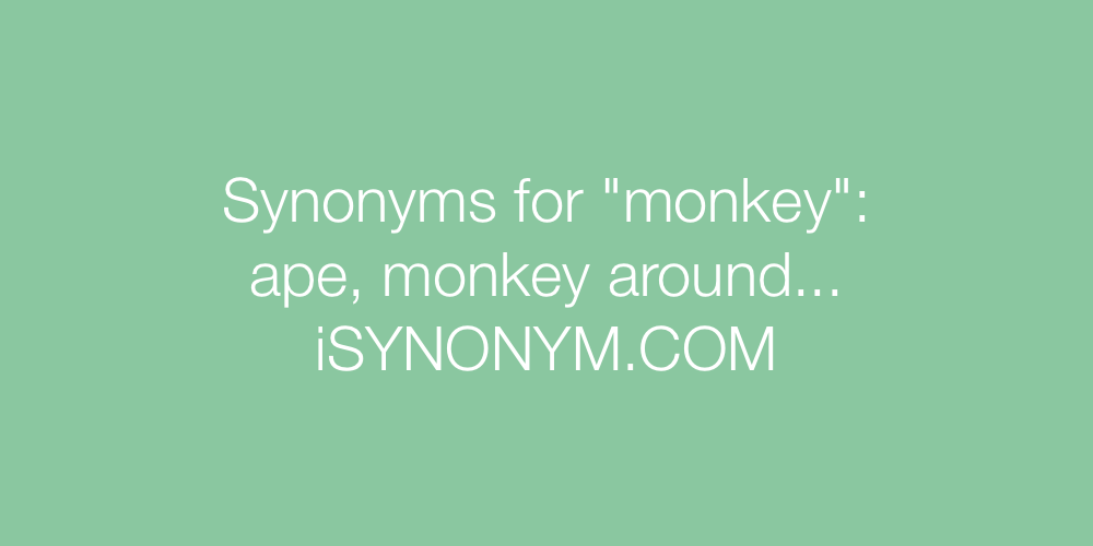Synonyms monkey