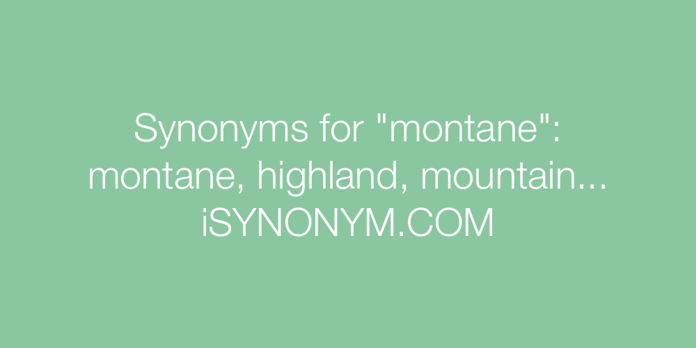 Synonyms montane
