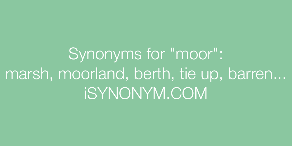 Synonyms moor