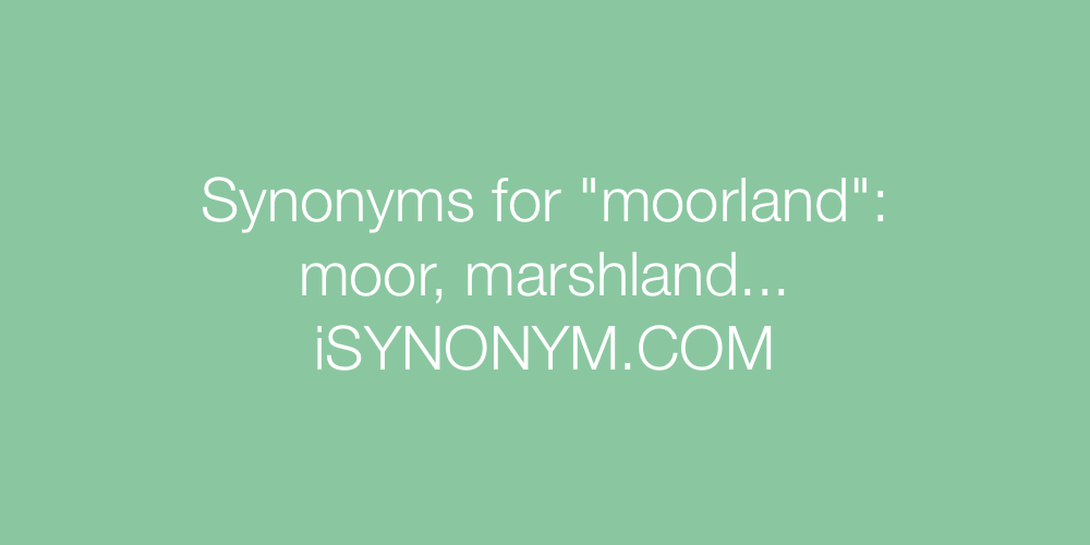 Synonyms moorland