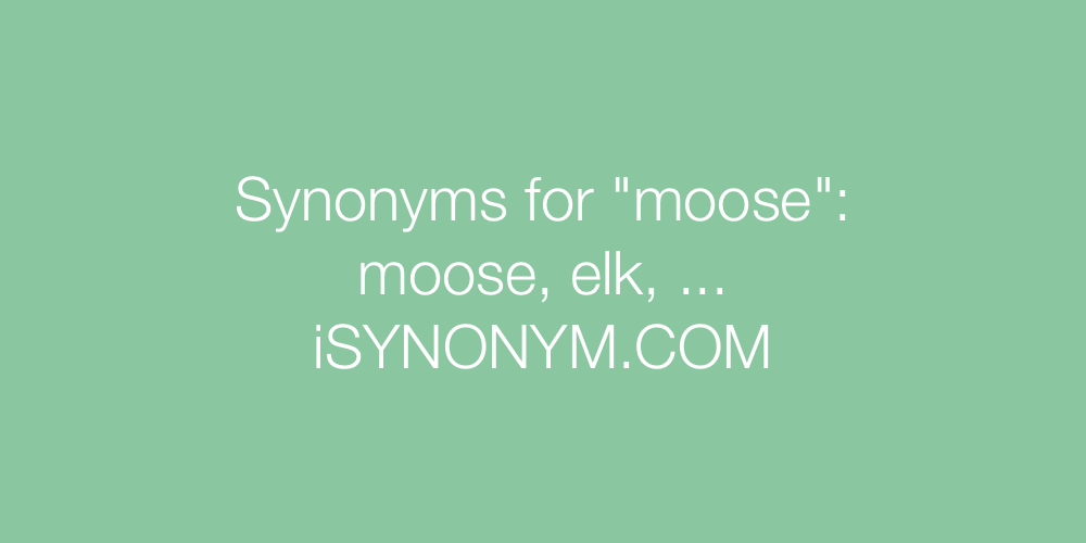 Synonyms moose