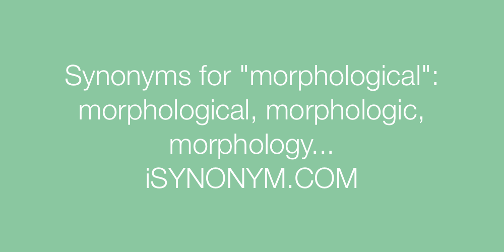 Synonyms morphological