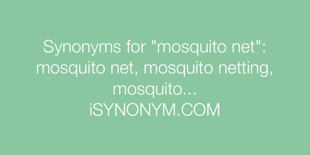 Synonyms mosquito net