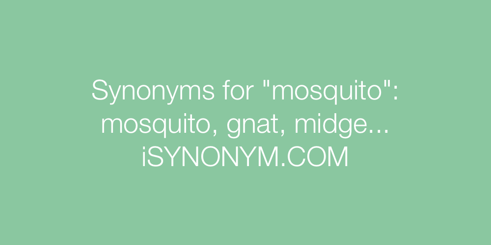 Synonyms mosquito
