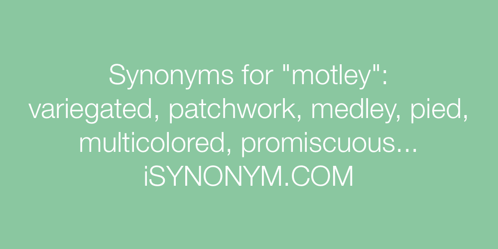 Synonyms motley