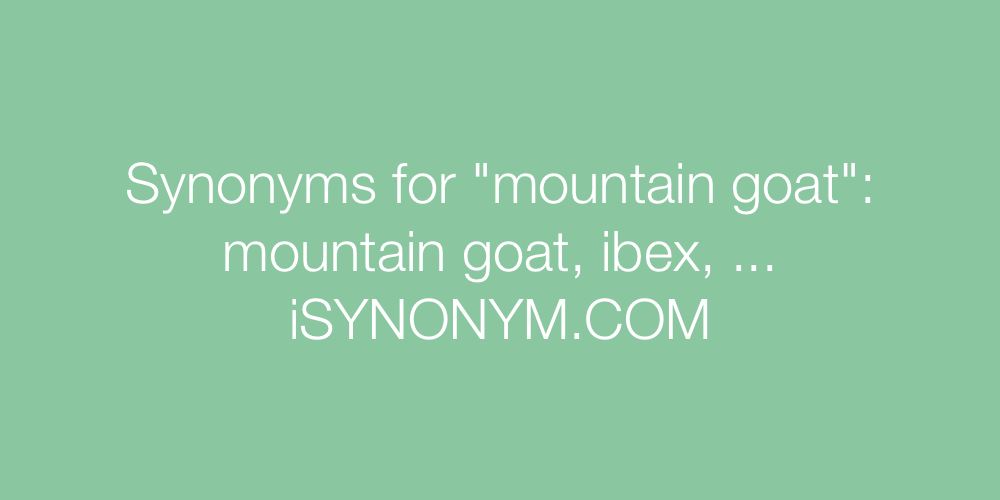 Synonyms mountain goat