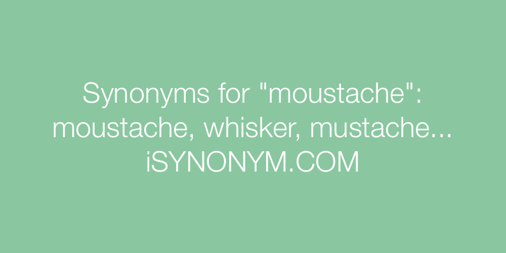 Synonyms moustache