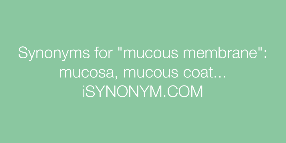 Synonyms mucous membrane