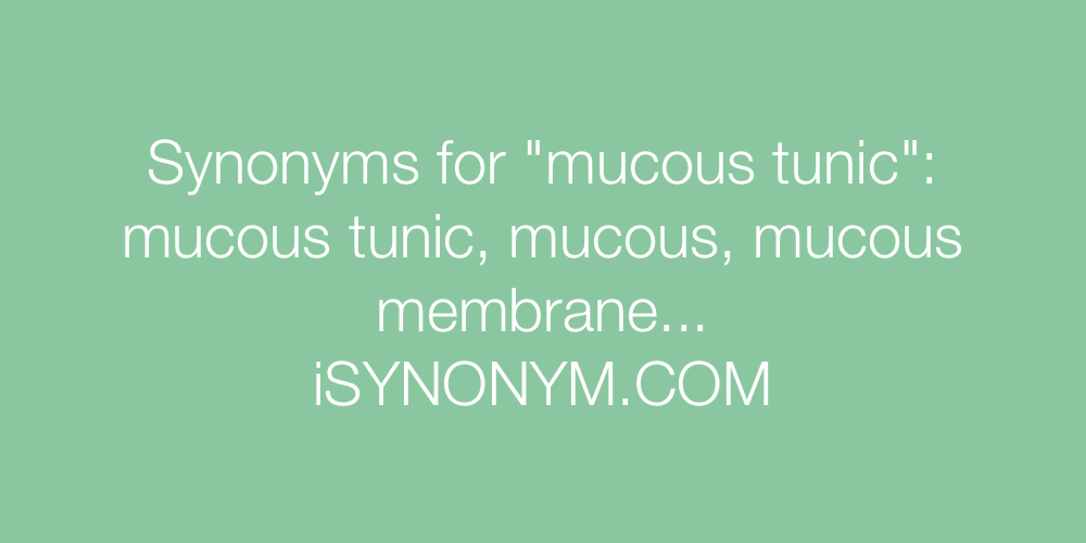 Synonyms mucous tunic