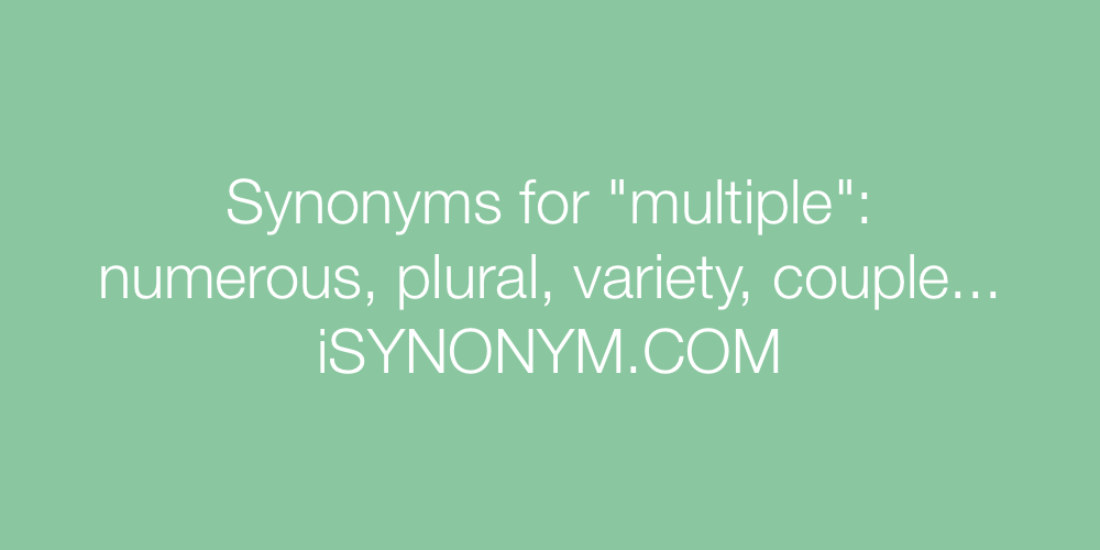 Synonyms multiple