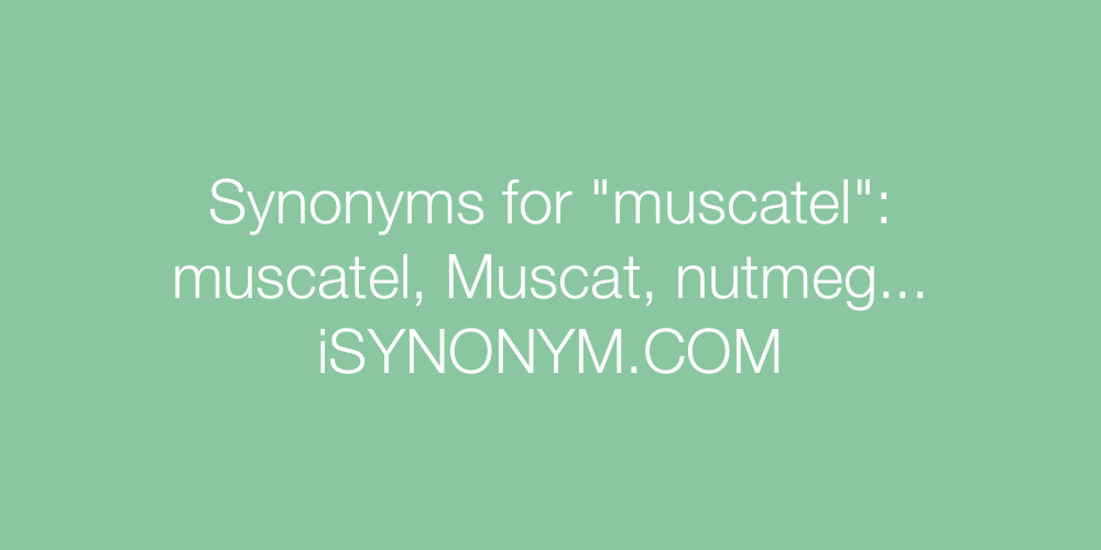 Synonyms muscatel