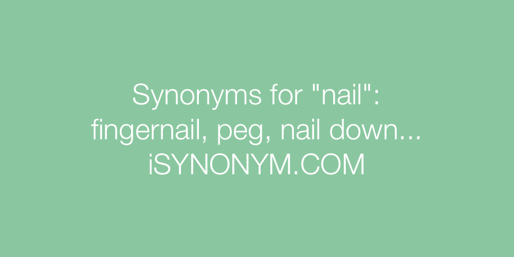Synonyms nail