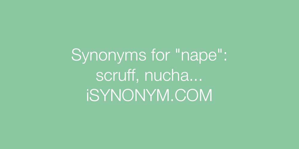 Synonyms nape