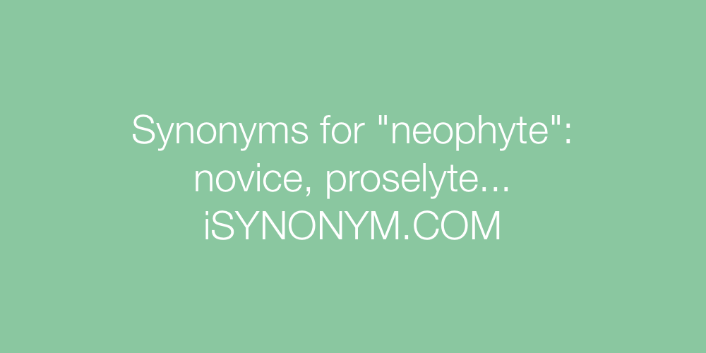 Synonyms neophyte