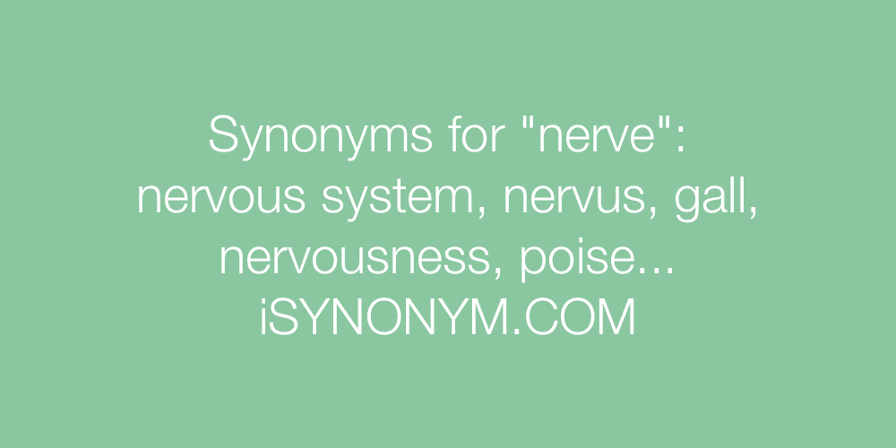 Synonyms nerve