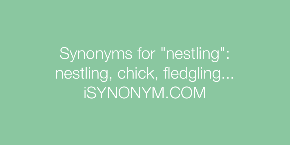 Synonyms nestling