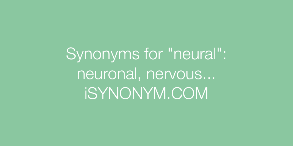 Synonyms neural
