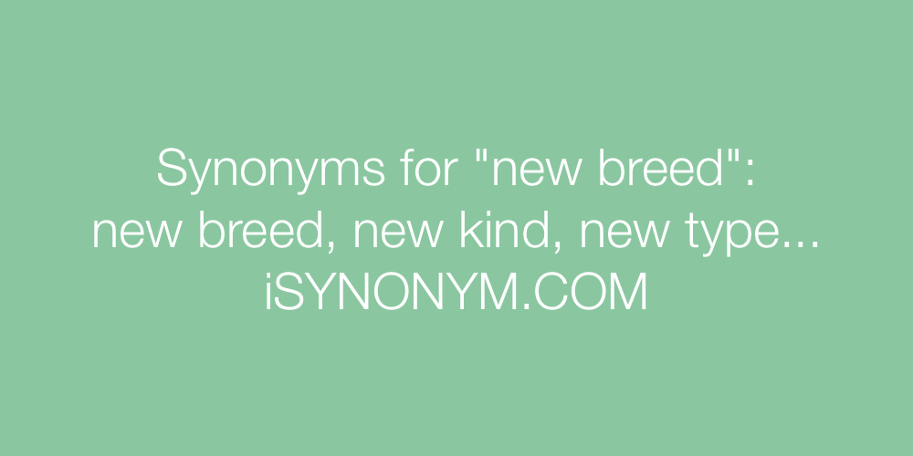 Synonyms new breed
