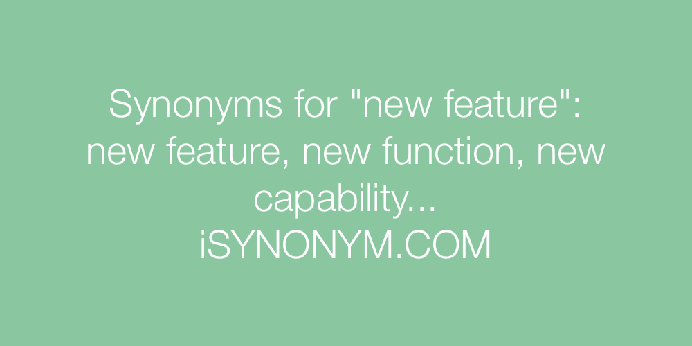Synonyms new feature