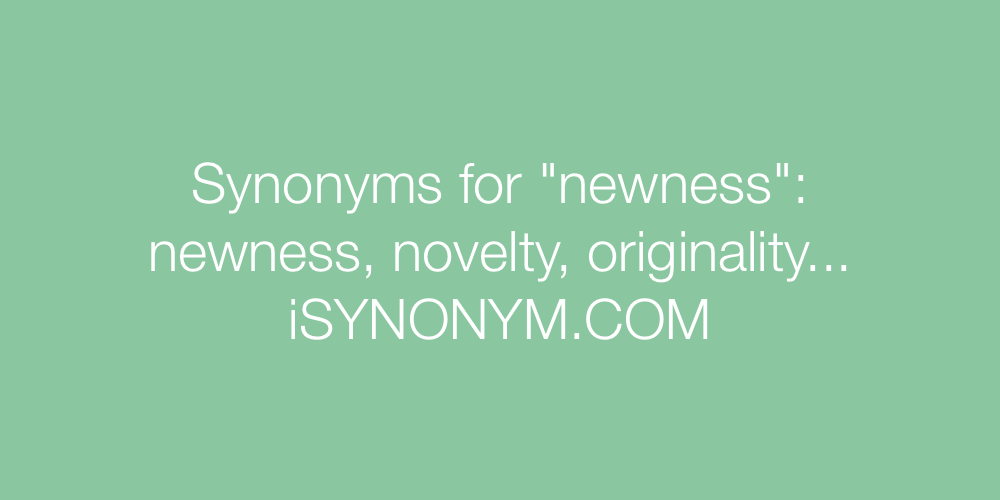 Synonyms newness