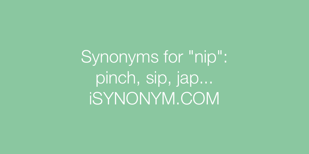 Synonyms nip