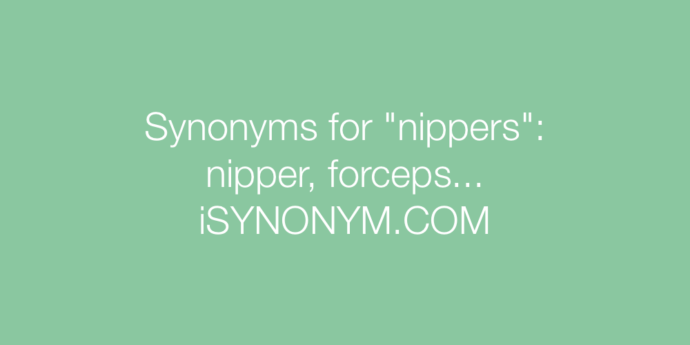 Synonyms nippers