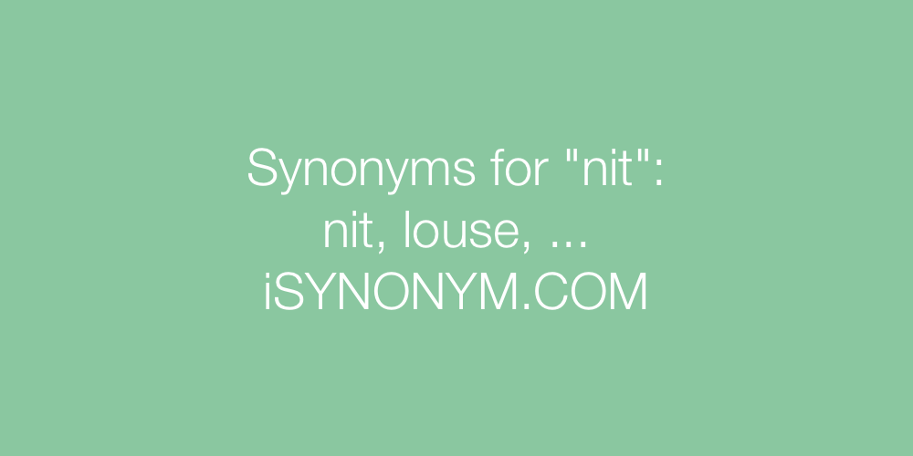 Synonyms nit